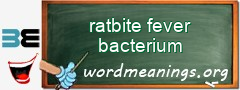 WordMeaning blackboard for ratbite fever bacterium